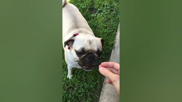 Summertime is Watermelon Time