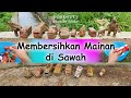 Membersihkan Mainan Berlumpur di Sawah | Cleaning Muddy Toys in the Rice Field