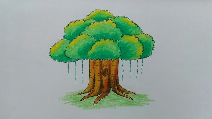 Very Easy 11 With How To Draw A Banyan Tree Easily Banyan Tree Drawing Step By Step Kfaa Youtube Very Easy 11 With How To Draw A Banyan Tree Easily Banyan Tree Drawing Step By Step Kfaa Youtube