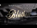 Restaurierter Blüthner Flügel, Modell 4 (210) | Bach / Petri - Schafe können sicher weiden