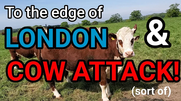 To the Edge of LONDON (Days 29 to 37) and COW ATTACK!