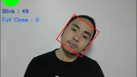 Blinks and Head Angle Detection using OpenCV