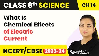 What Is Chemical Effects Of Electric Current  Class 8 Science Chapter 14