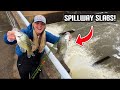 Crappie Fishing a GIANT SPILLWAY for SLABS! --Jig &amp; Bobber VS. Double Jig Rig!!! (CATCH and COOK)
