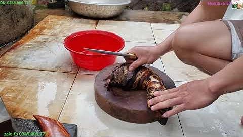 tets liều dao mini với giò heo