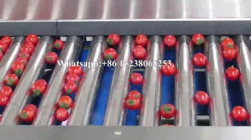 Automatic orange sorting machine / kiwi sorting machine / cherry tomato grading machine