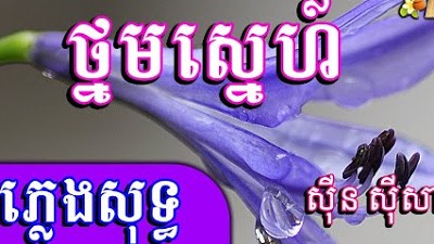 ថ្នមស្នេហ៍ ភ្លេងសុទ្ធ🎤 Thnom Sne Karaoke