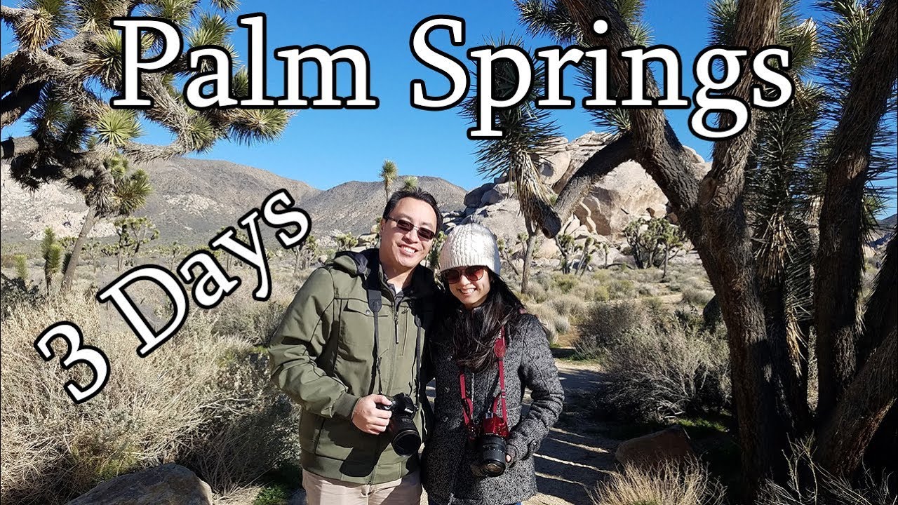 Things to do in Palm Springs Tips for 3 fun days in Palm Springs