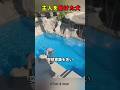 脳卒中になりプールに落ちてしまった主人。その時、愛犬達がとった行動が感動的。