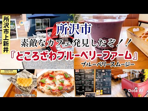 ところざわBlueberryFarmの紹介動画サムネイル
