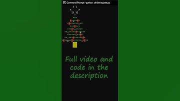 Programmer