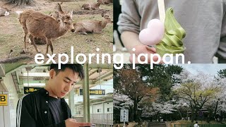 japan diaries! 🍮 osaka dotonbori 🍙 nara deer park 🦌 hakone hot spring (onsen)🎍