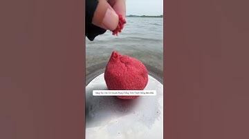 Găng tay câu cá chống bám bẩn chống trơn trượt #cauca #fishing #shorts