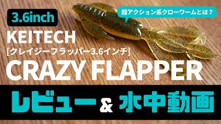 【レビュー&水中動画】ケイテック　クレイジーフラッパー　3.6インチ【バス釣り/琵琶湖】