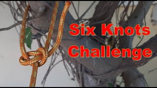 Learn the Basic Knots in the Six Knots Challenge