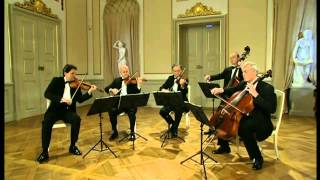 3.Mozart KV525 Eine kleine Nachtmusik III Menuetto Allegretto HD