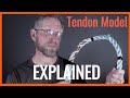 Tendon Talk - The different phases of tendinitis (tendonitis) using a model.