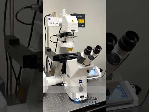 Video: Lub laser scanning confocal microscope ua haujlwm li cas?