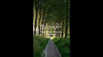 سوره المؤمنون🍃القارئ رعد الكردي🌿 #qran #explore #اجر_لي_ولك #اكسبلور #سورة_المؤمنون #رعد_الكردي