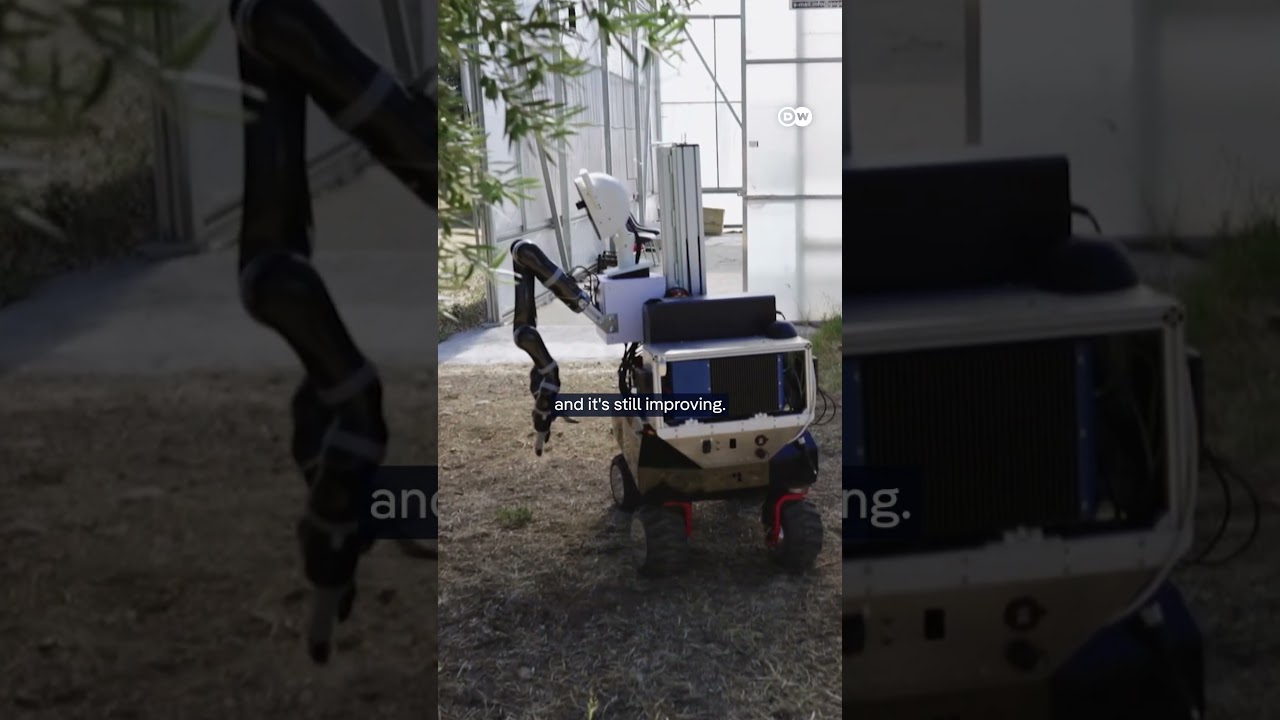 Film backdrop image for Could AI present an opportunity in agriculture? (2025)