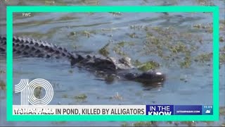 911 call released after Florida woman falls in pond, killed by alligators