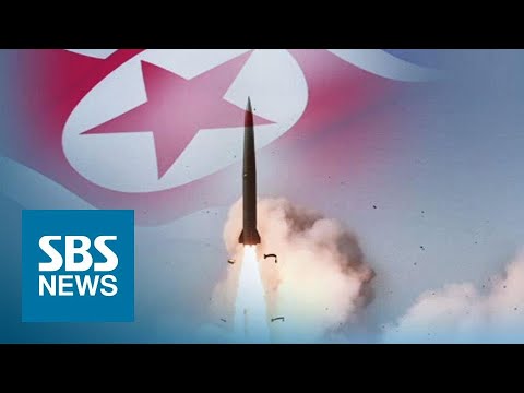 합참 &amp;quot;북한, 미상 발사체 2발 <strong>동해</strong> <strong>방향</strong> 발사…관련 동향 추적&amp;quot; / SBS