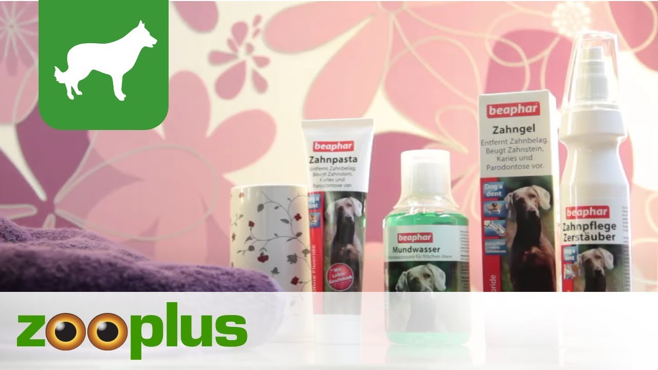 beaphar Toothpaste  Great deals at zooplus!