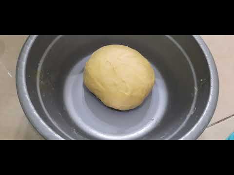 Praktikum Bioteknologi | Roti Fermentasi