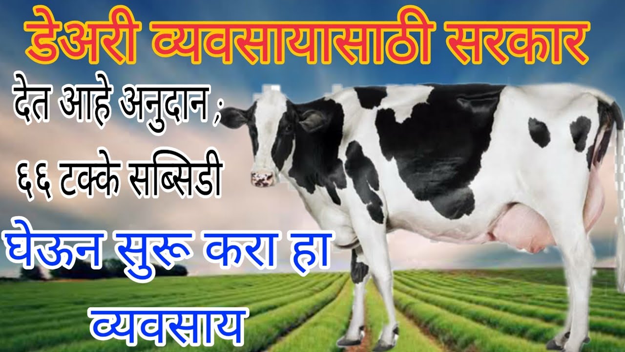 How to get dairy farm loan Nabard Dairy loan scheme 2021 Dairy
