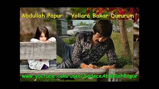 Abdullah Papur - yollara bakar dururum Resimi