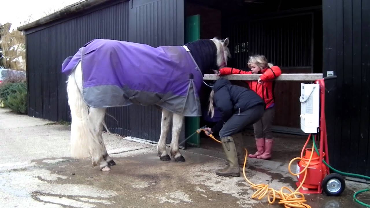 Equine Washer 007.MOV YouTube