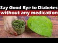 Say Good Bye To Diabetes | Best Diabetes Tips | Health Tips | Health And Beauty
