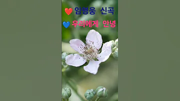 Lim Young Woong Goodbye To Us Lim Young Woong S New Song Goodbye To Us 