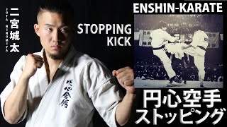 円心空手のストッピング【二宮城太】Enshin-Karate Front Stopping-Kick