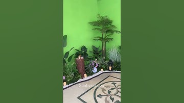 Thi công tiểu cảnh bồn cây giả trong nhà cho chị Hòa #caygia, #thicongtieucanhcaygia