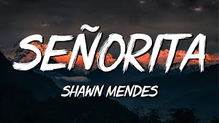 Senorita  Shawn Mendes (Lyrics) || David Kushner , Ava Max... (MixLyrics)