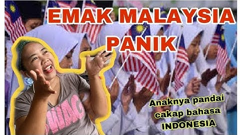 MALAYSIA DIBUAT PANIK ❗️budak budak lebih pandai bahasa indonesia