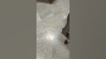 Epic Fail Elevator Blinks The 3rd Floor 