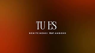 Tu Es (Feat. Amboko)