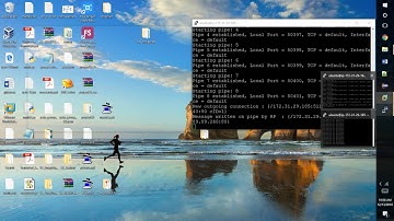 TM3 Multiplexing Proxy Model Demo
