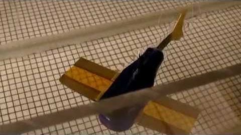 IPMC actuator propelling robotic fish