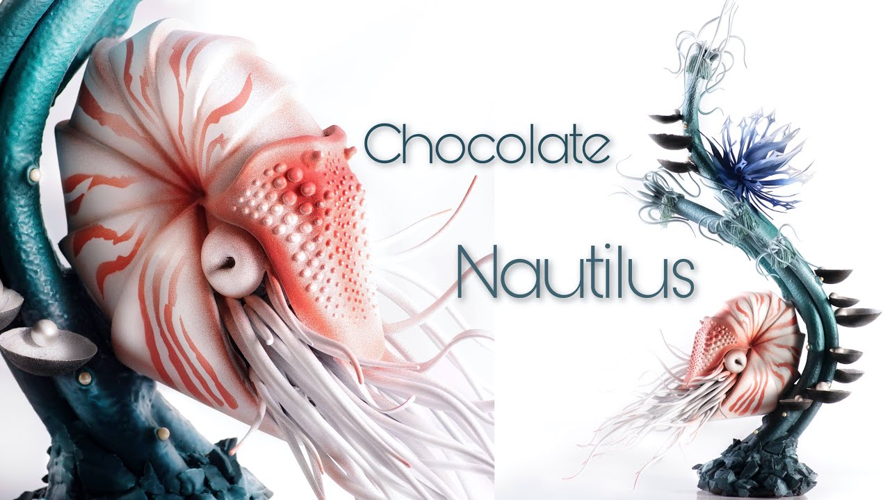 ⁣Chocolate Nautilus!
