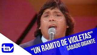 Zalo Reyes - Un ramito de violetas | Sábado Gigante Resimi