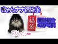 きゃんナナ福袋2020①（紹介のみ）ピンク好きの姉犬が独占します！？≪ポメラニアン#155≫