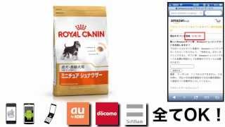 ロイヤルカナンBHN ミニチュアシュナウザー 成犬用 3kg 格安&無料価格でGETする方法を期間限定で紹介中