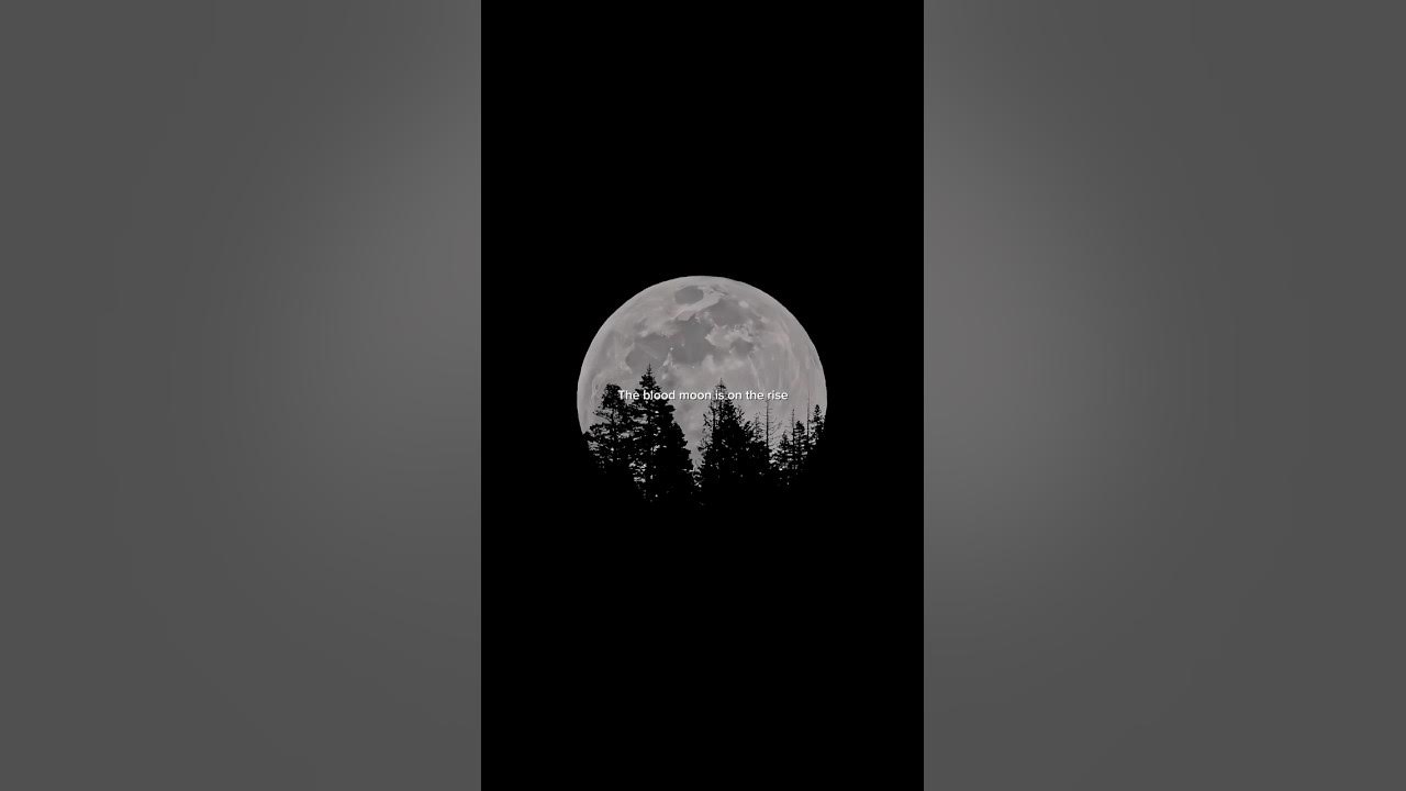 Alan Walker - On My Way | The blood moon is on the rise #song #lyrics #youtube #alanwalker #onmyway Alan Walker - On My Way | The blood moon is on the rise #song #lyrics #youtube #alanwalker #onmyway