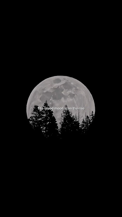 Alan Walker - On My Way | The blood moon is on the rise #song #lyrics #youtube #alanwalker #onmyway