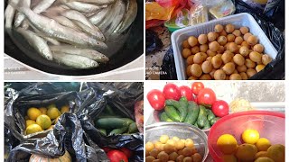 روتين يومي تنظيف السمك 🐟 وغسل الفواكه