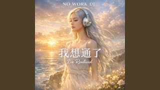 我想通了 _ I’ve Realized - No Work DJ