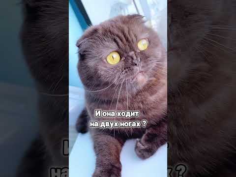 Почему у мамы